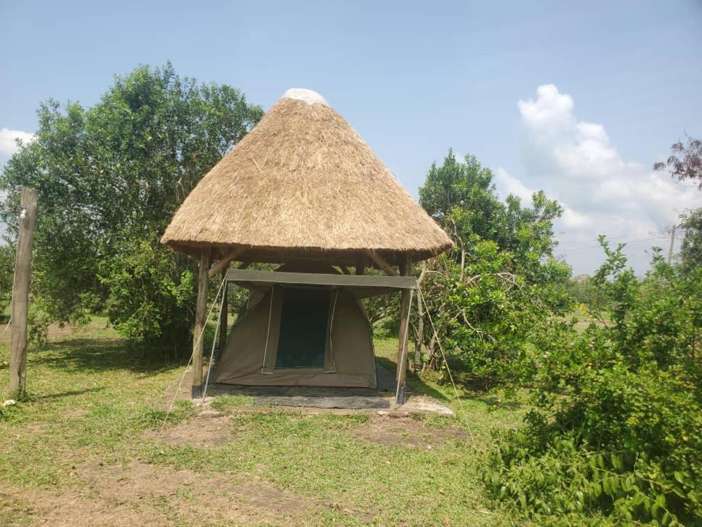 Engiri Game Lodge And Campsite Katunguru 외부 사진