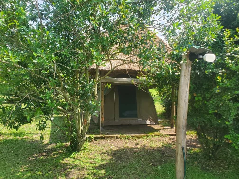 Engiri Game Lodge And Campsite Katunguru 외부 사진
