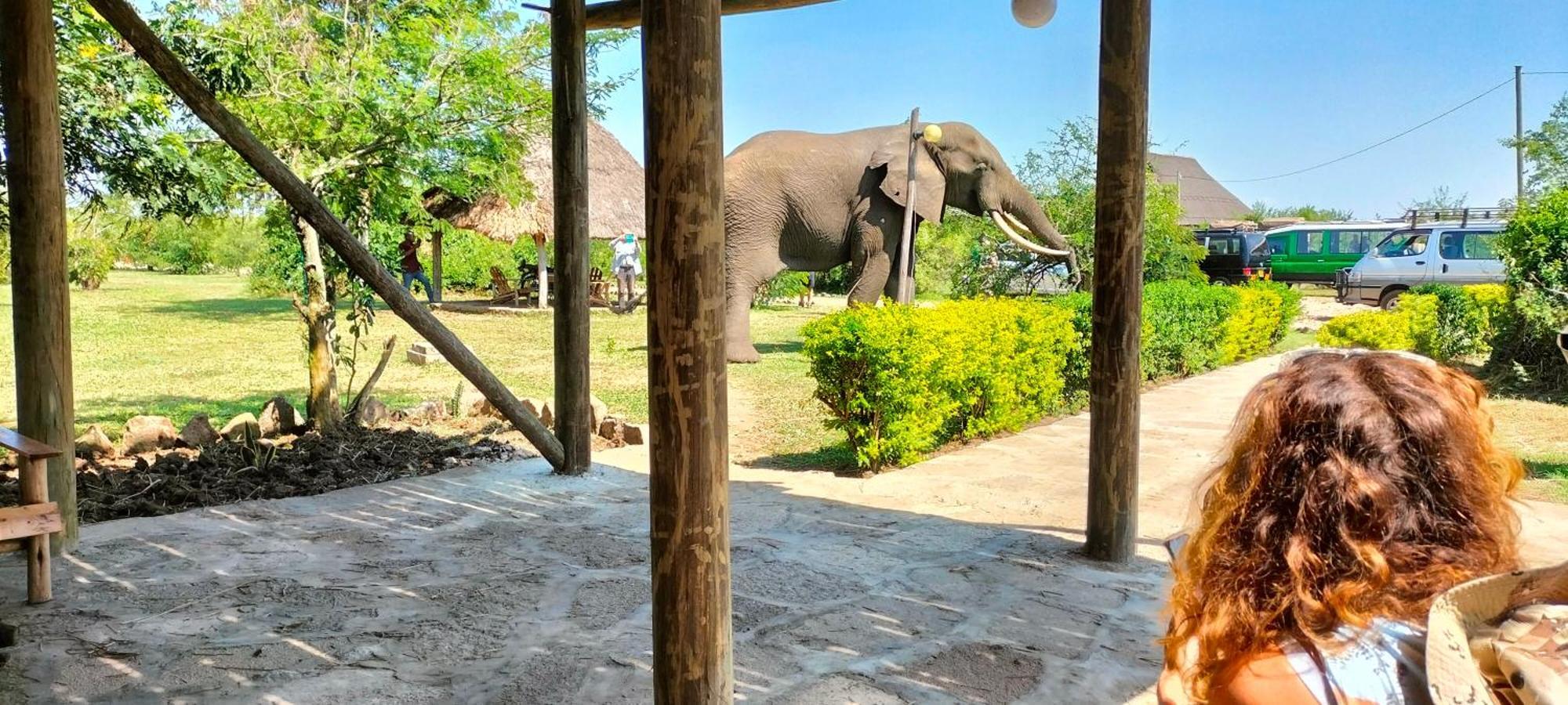 Engiri Game Lodge And Campsite Katunguru 외부 사진