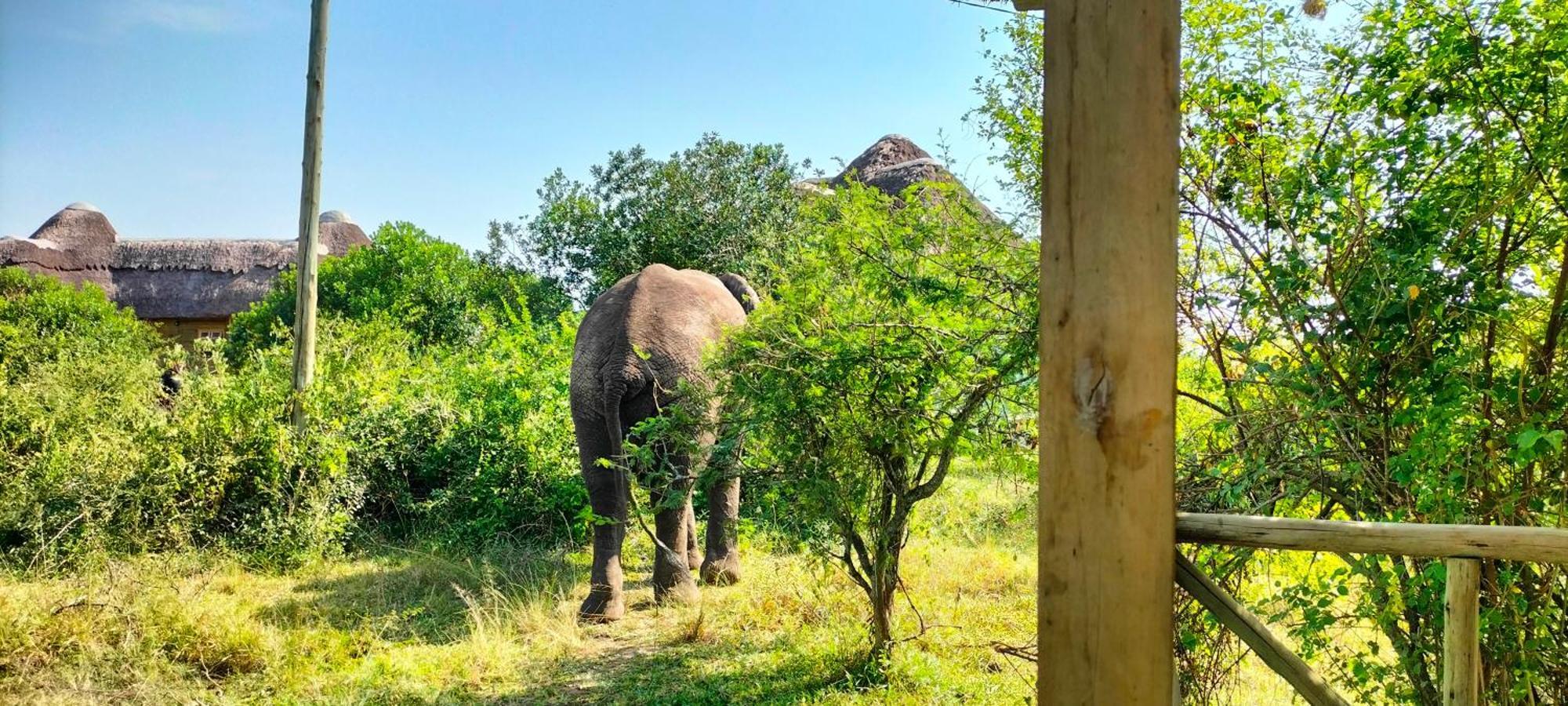 Engiri Game Lodge And Campsite Katunguru 외부 사진