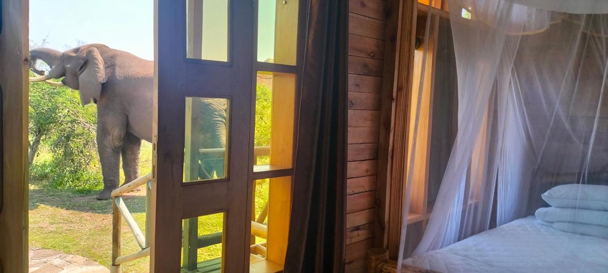 Engiri Game Lodge And Campsite Katunguru 외부 사진