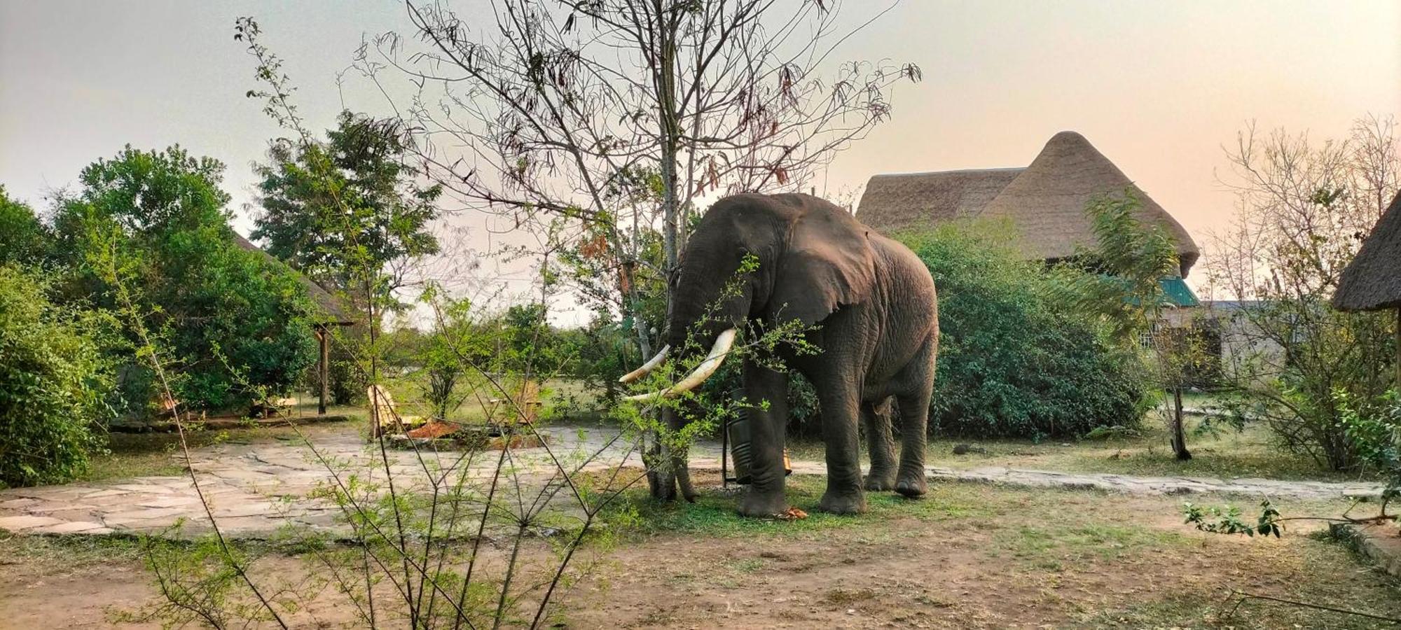 Engiri Game Lodge And Campsite Katunguru 외부 사진