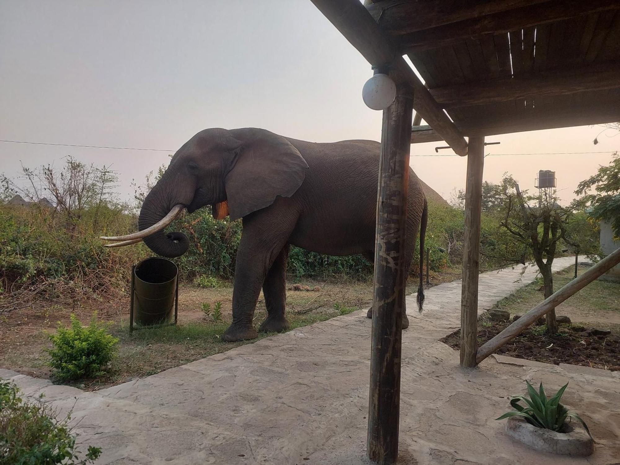 Engiri Game Lodge And Campsite Katunguru 외부 사진