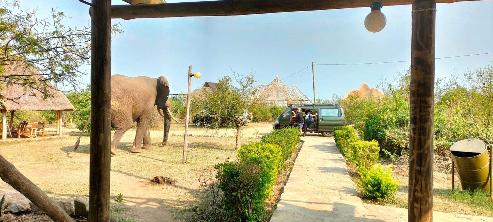 Engiri Game Lodge And Campsite Katunguru 외부 사진