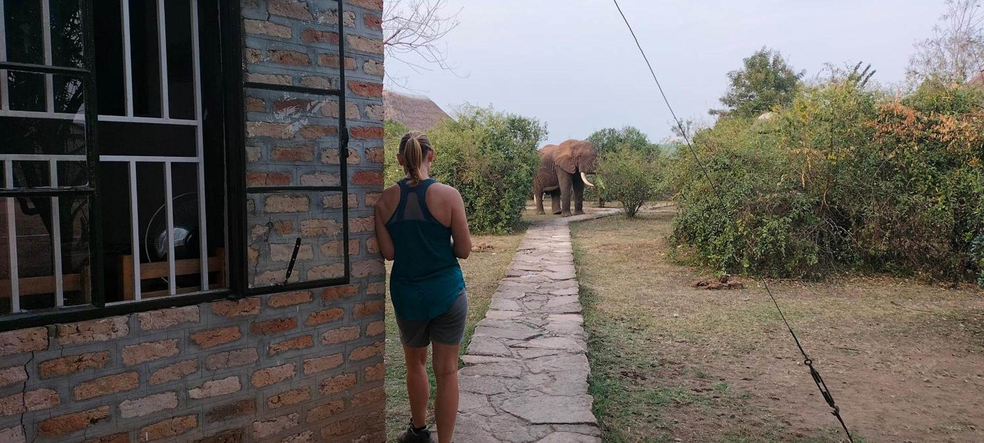 Engiri Game Lodge And Campsite Katunguru 외부 사진